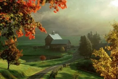 naturaleza jigsaw puzzle