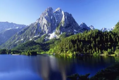 naturaleza jigsaw puzzle