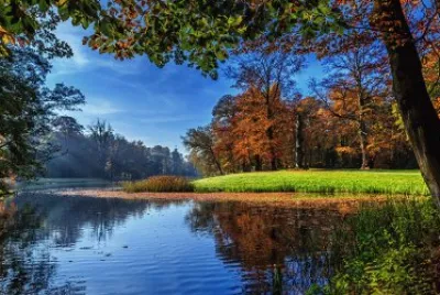 naturaleza jigsaw puzzle