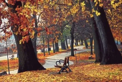 naturaleza jigsaw puzzle
