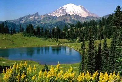 naturaleza jigsaw puzzle