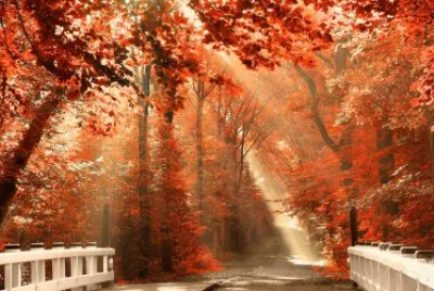 naturaleza