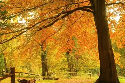 naturaleza