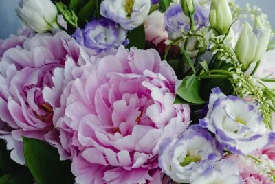 flores