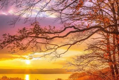 imagem jigsaw puzzle
