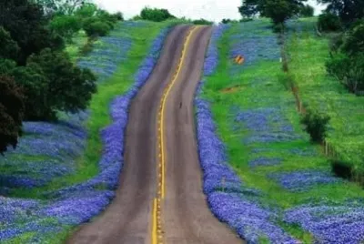 imagem jigsaw puzzle