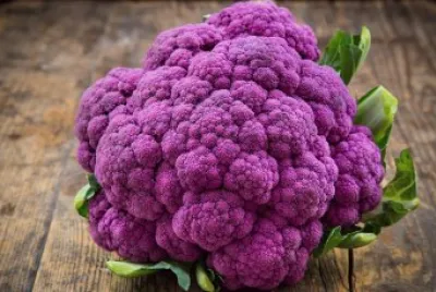 Purple Cauliflower