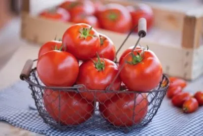 Tomato