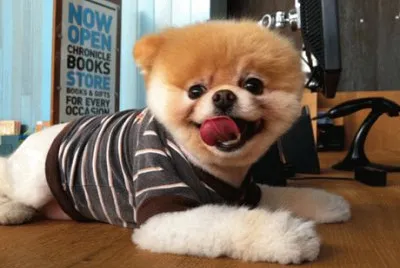 פאזל של Boo