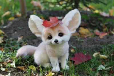 פאזל של Kawai Fox