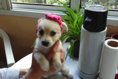 פאזל של Mara bebe