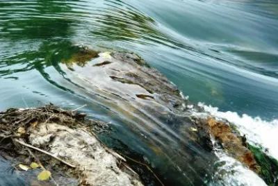 en el rio tajo
