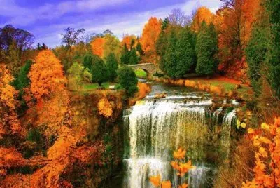 naturaleza jigsaw puzzle