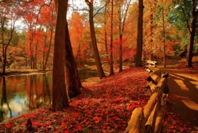 naturaleza jigsaw puzzle