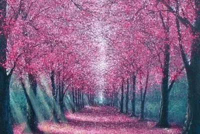 naturaleza jigsaw puzzle