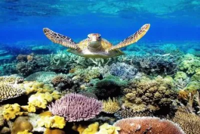 Australia jigsaw puzzle