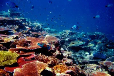 Australia jigsaw puzzle