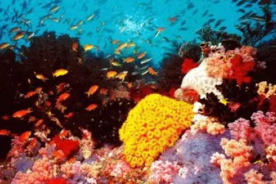 Australia jigsaw puzzle