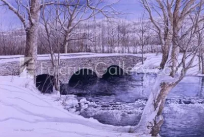 naturaleza jigsaw puzzle