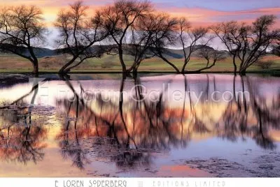naturaleza jigsaw puzzle