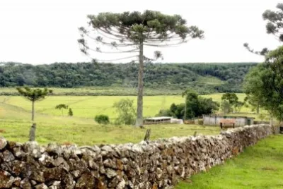SERRA GAUCHA jigsaw puzzle