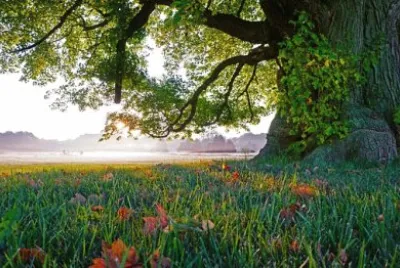Imagem jigsaw puzzle