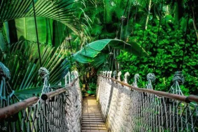 Imagem jigsaw puzzle