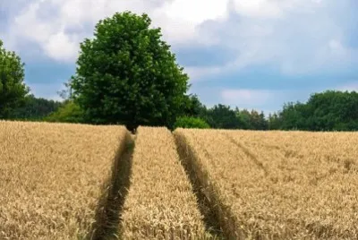 Imagem jigsaw puzzle