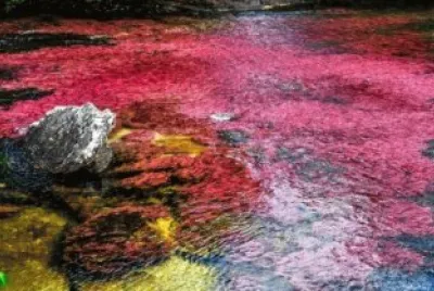 CaÃ±o Cristales