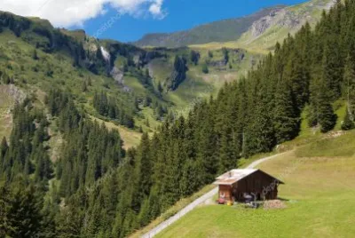 naturaleza jigsaw puzzle