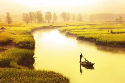 naturaleza jigsaw puzzle