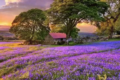 imagem jigsaw puzzle