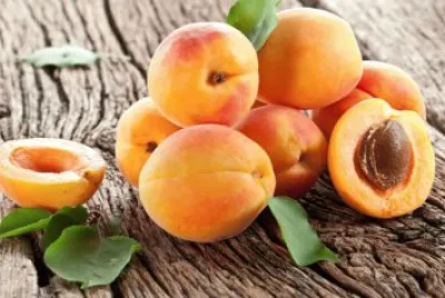 apricot