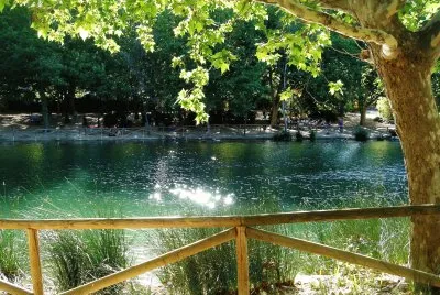 en el lago de anna jigsaw puzzle