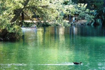 en el lago de anna jigsaw puzzle