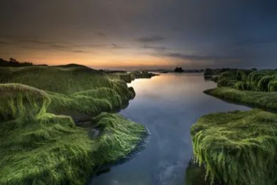 Nature jigsaw puzzle