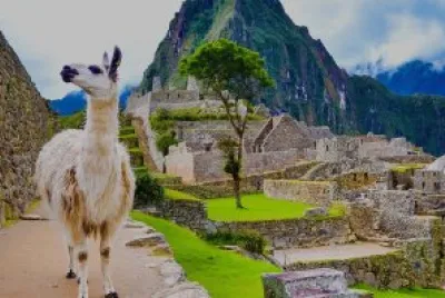 cuzco jigsaw puzzle