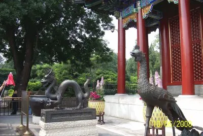 CINA jigsaw puzzle