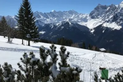 Imagem jigsaw puzzle