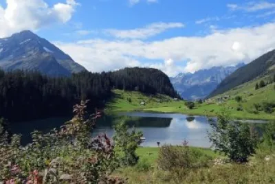 Imagem jigsaw puzzle