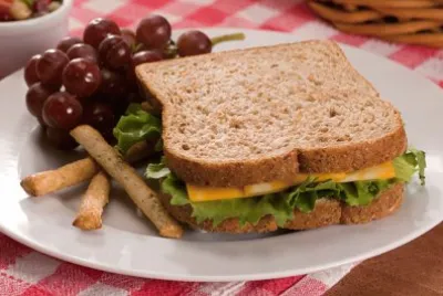 Salad Cheese Sandwich