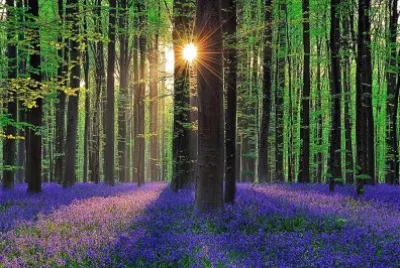 paz y amor jigsaw puzzle