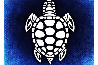 tortue