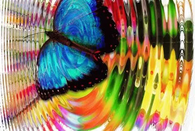 Papillon