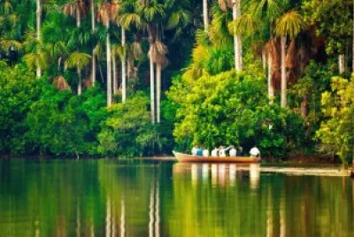 SELVA PERUANA jigsaw puzzle