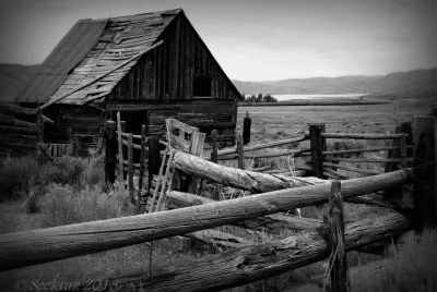 Black and White jigsaw puzzle