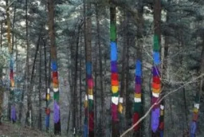 naturaleza jigsaw puzzle