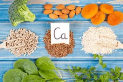 Grains   Vegetable   Fruits