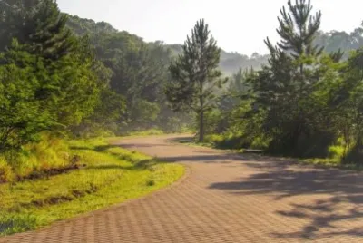 Imagem jigsaw puzzle