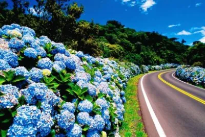 imagem jigsaw puzzle